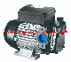  CE Certificate Fuel Transfer Pump Panther 72 AC Diesel Pump 220V 500W 1