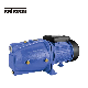 Electric Cast Iron Self-Priming Jet Pump with CE