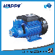 Self-Priming Domestic Use Peripheral Half HP 1HP Water Pump (VPM)