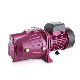 0.75kw 1 HP Shallow Well Auto Jet Water Pump for Irrigation