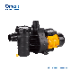  High Quality Low Noise Swimming Pool Circulation Electric AC Big Flow High Pressure Water Pump