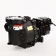  OEM ODM Nsl-V 50/60Hz 208-240V 0.5HP Variable Speed Pool Pump