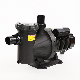 High Quality Electrical Water Pump for SPA and Swimming Pool