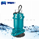  Mini Single Phase 220V AC 180W Qdx Submersible Clean Water Pump