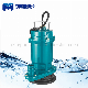 Mini Single Phase 220V AC 180W Qdx Submersible Clean Water Pump