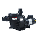 OEM ODM 60Hz Nsl200 2.0HP Swimming Pool Pump with ETL UL 2 Years Warranty