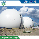  Constant Pressure Membrane Gas Dome Biogas Balloon Gas Storage Tank