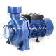 Mindong Hf Series Big Flow 3 Inch 3kw 4HP Electric Centrifugal Water Pump for Agricultural Irrigation