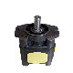 Servo Vane Pump Pgh3 for Plastic Machinery Pgh Series Gear Pump