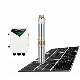 Performance High Efficiency Energy Sunway Complete Set System Irrigation Solar Water Pump