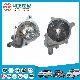  Auto Parts Car Engine Cooling System Water Pump for Changan 469