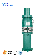  5.5kw Qy Series Cast Iron Submersible Water Pump Screw Pump