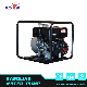 Bison 1 Inch 2inch 3inch 4inch Gasoline Water Pump Gx270 4stroke Ohv Gasoline Petrol Small Trash Pump