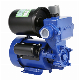  Werto Factory Price Cast Iron Home Use Automatic Peripheral Water Pump