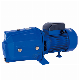  Werto Single Phase Factory Price Irrigation Pump Self-Priming Jet Water Pump