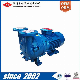  Single Stage Liquid/Water Ring Vacuum Pump for Autoclave