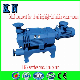 Water Cooled Screw Vacuum Pump for Food Industry