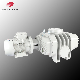  Mbe72000 20000L/S Roots Vacuum Pumps