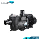 China Manufacturer Swimming Pool Pump Pond Pump with Fliter