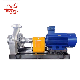 Wry Thermal Transfer Fluid Pump High Temperature Hot Oil Mechanical Seal Pump manufacturer