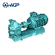 Gear Oil Pump with Stuffing Seal