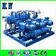  Single/Two/Double Stage Liquid-Water-Ring Vacuum Pump in China (System) for Chemical Industry