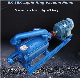 Water Ring Vacuum Pump and Compressor Coarse Vacuum for Air