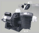  Swimming Pool Pump (SCP) with USA Market Standard