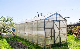 Wuxi Zewo 2023 High Quality Greenhouse Waterproof PVC Cover Garden Cooling System with Pump Greenhouse