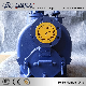  Sp Non-Clogging Self-Priming Sewage Pump