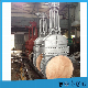 ANSI DIN GOST JIS Industrial Rising Stem Steel Motor Gear Operated Wedge Gate Valve Manufacturer for Oil Water Gas