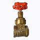  OEM/ODM Forged Brass Gate Valve with Iron Handle From Chinese Factory
