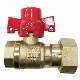 Dn15 Brass Water Meter Lockable Ball Valve