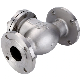 Stainless Steel 304 316 CF8m Cast Iron Flanged Flange Swing Check Valve