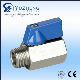 Stainless Steel 304/316 (F/M) Mini Ball Valve