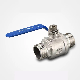  Stainless Steel 2PC Double Male Thread Ball Valve with Good Price