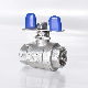 Full Bore Ball Valve with Butterfly Lever Forged Stainless Steel Ball Valve