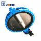  High Quality Ductile Iron Indusrial Flanged U Type Butterfly Valve