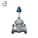  API600 Industrial Worm Gear Operated Flange OS and Y Wedge A216 Wcb Gate Valve with Prices