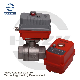  Electric Control Irrigation System 2 PC Water Ball Valve