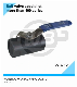  A216 Wcb High Quality Good Price Investment Casting Stainless Steel 304/316 1PC Round Body Ball Valve DN32 Pn16 China