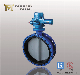  Electric Actuator Double Flanged Type Butterfly Valve with Nylon 11 Coating Disc