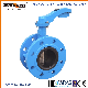  Double Flange Butterfly Valve with Gearbox Pn6/Pn10/Pn16