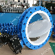  PFA /PTFE Butterfly Valve