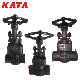  Kata Valve Forged Steel 1/2 Inch 800lb A105n OS & Y Gate Valve