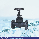 API Forged Carbon Steel/Stainless Steel Globe Valve