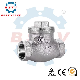  Wenzhou Bstv Manufacturer Stainless Steel Female Non-Return Swing Horizontal Check Valve with High Quality