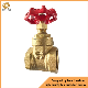 NPT Thread Oil and Gas Pipeline Brass Ball Valve Copper Knife Gate Valve 1/2-4"