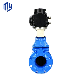  OEM ODM Cast Iron Pn16 Pn25 Water Gate Valves and Fitting