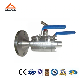 F-NPT/Flanged A105/F304/F316/F51/F55 Double Block and Bleed Lever Operated /Gear Operated Floating / Trunnion Dbb Ball Valve